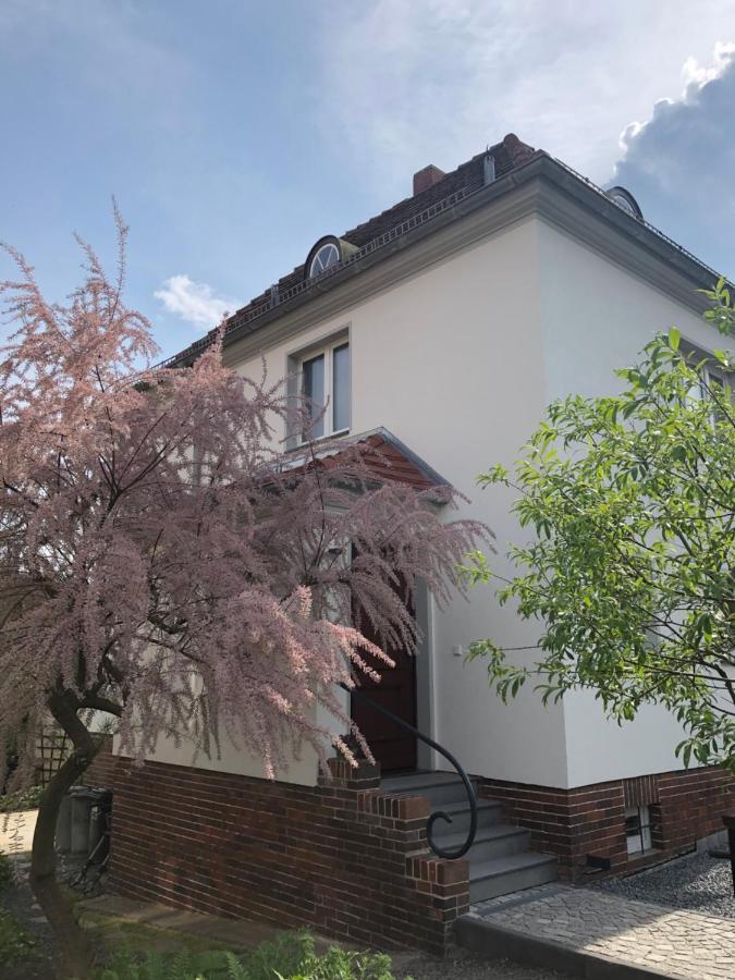Villa Haus Welzel à Dresde Extérieur photo